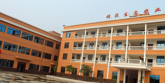 广西Z6尊龙凯时农业科技集团有限责任公司