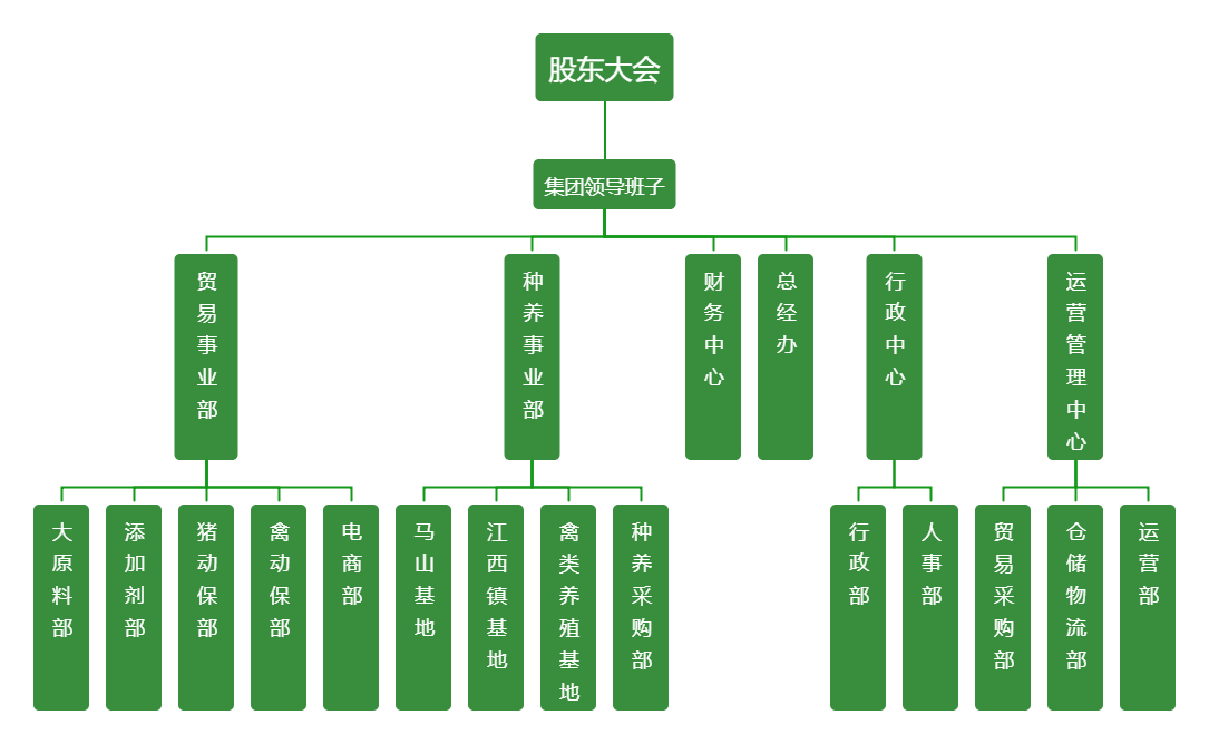Z6尊龙凯时集团架构图
