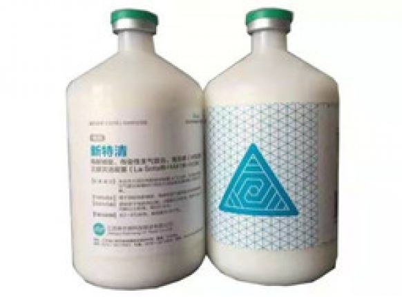 一针三防，省时省力，新型“传支”，“毒”特呵护